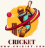 colorful abstract illustrative cricket club sports logo250x250